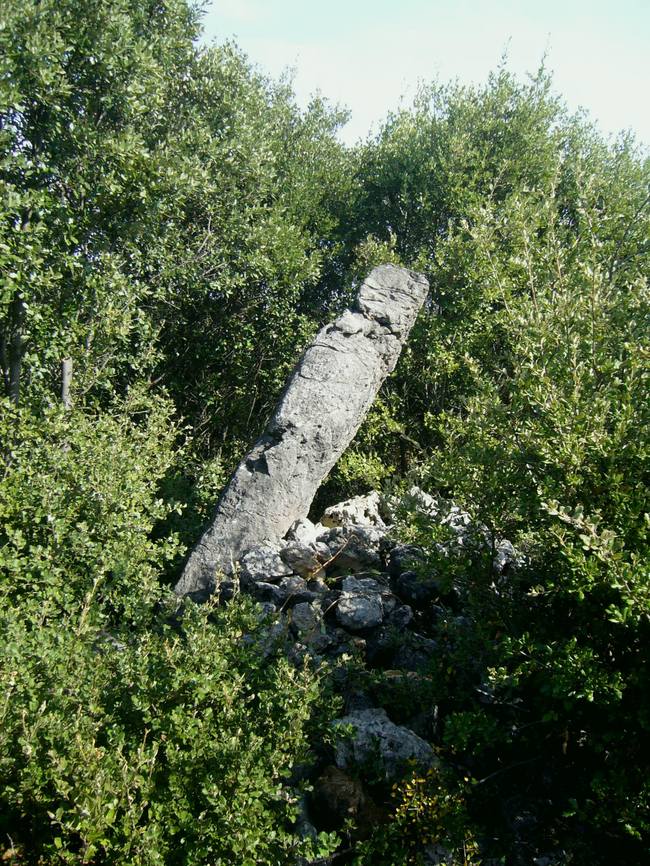 Menhir d'Uglas